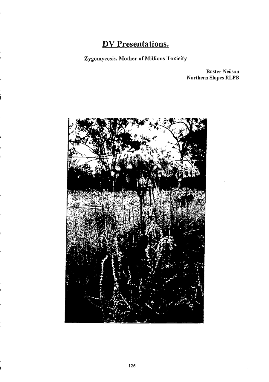 2000 Page 126